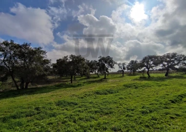 Terreno para Venda em Poceirão e Marateca