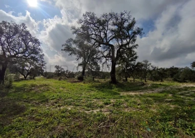 Terreno para Venda em Poceirão e Marateca