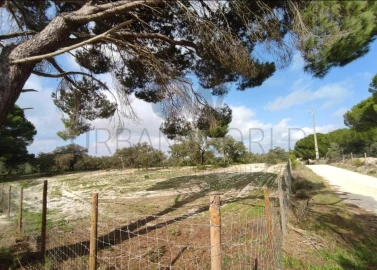 Terreno para Venda em Poceirão e Marateca