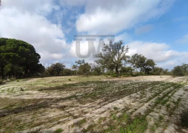 Terreno para Venda em Poceirão e Marateca