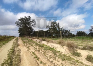 Terreno para Venda em Poceirão e Marateca