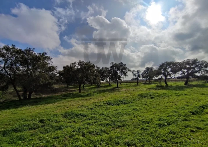 Terreno para Venda em Poceirão e Marateca Foto 6