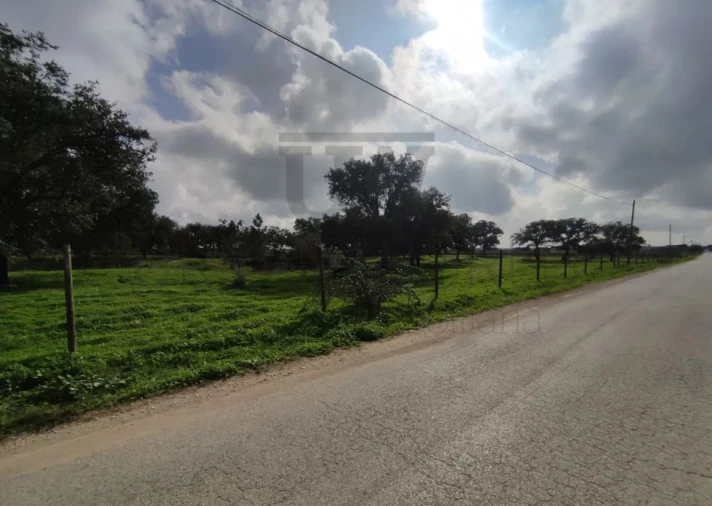 Terreno para Venda em Poceirão e Marateca Foto 7