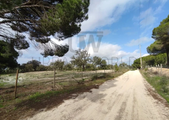Terreno para Venda em Poceirão e Marateca Foto 9