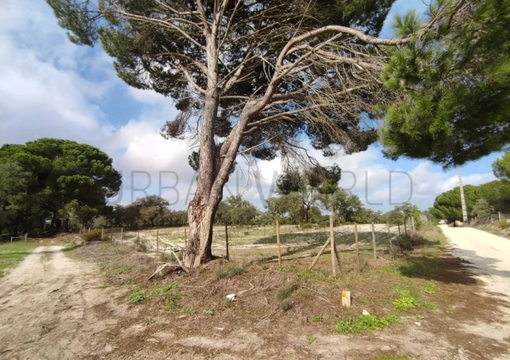 Terreno para Venda em Poceirão e Marateca Foto 12