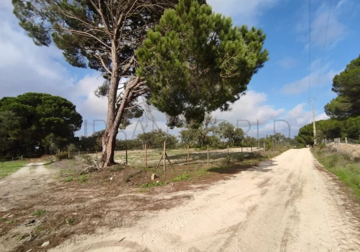 Terreno para Venda em Poceirão e Marateca Foto 18