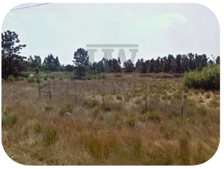 Terreno Agricola ou Rústico para Venda em Pegões Foto 1