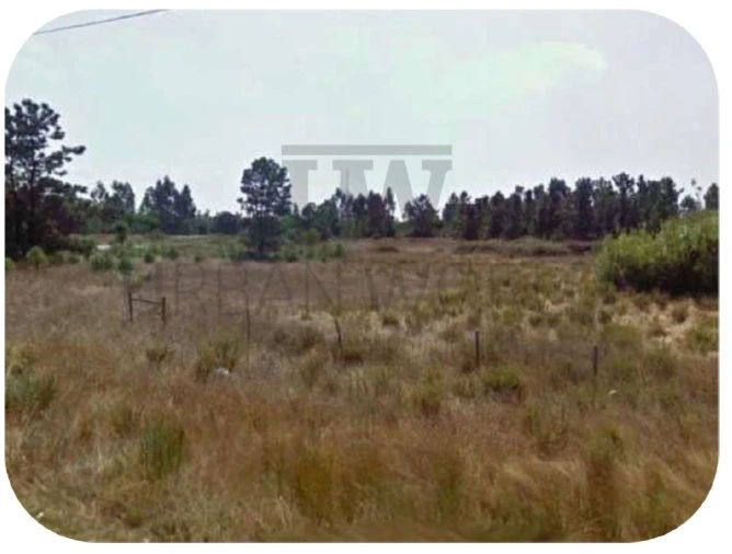 Terreno Agricola ou Rústico para Venda em Pegões Foto 1