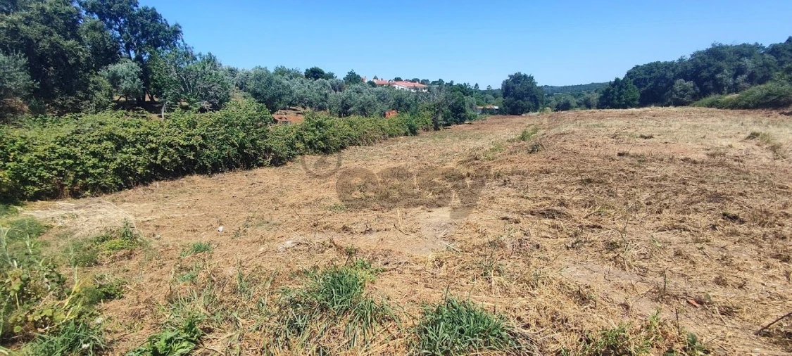 Terreno para Venda em Casais e Alviobeira Foto 3