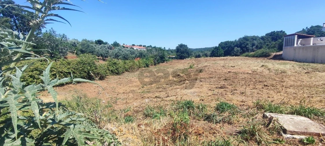 Terreno para Venda em Casais e Alviobeira Foto 1