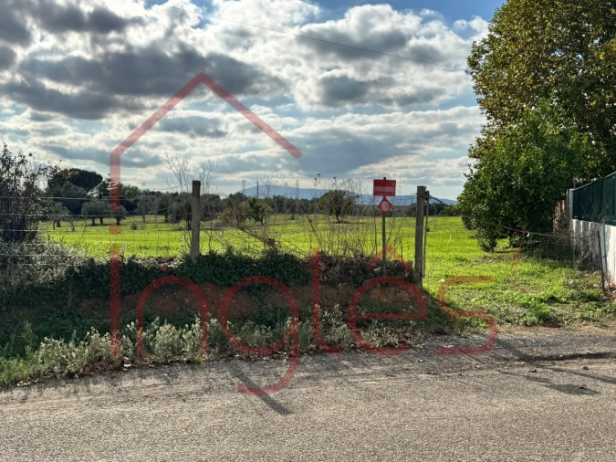 Moradia T1 para Venda em Almoster Foto 3