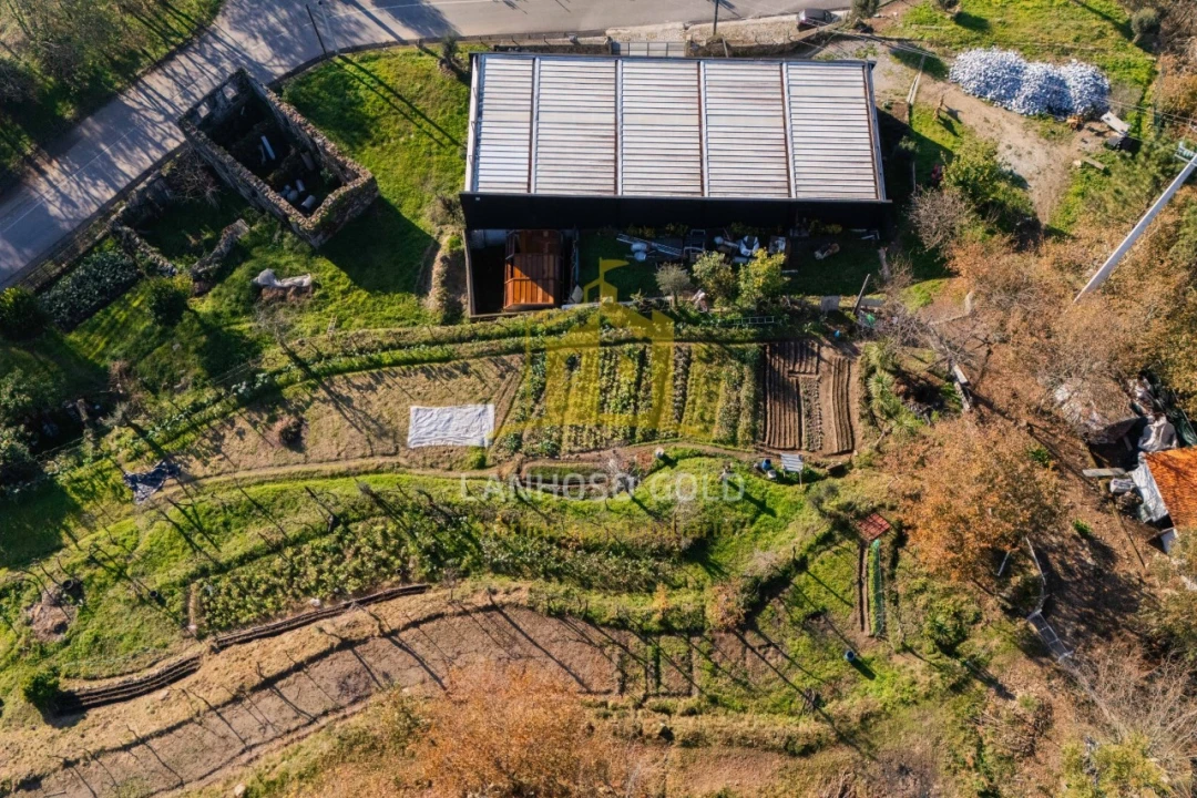 Quinta para Venda em Gonça Foto 18