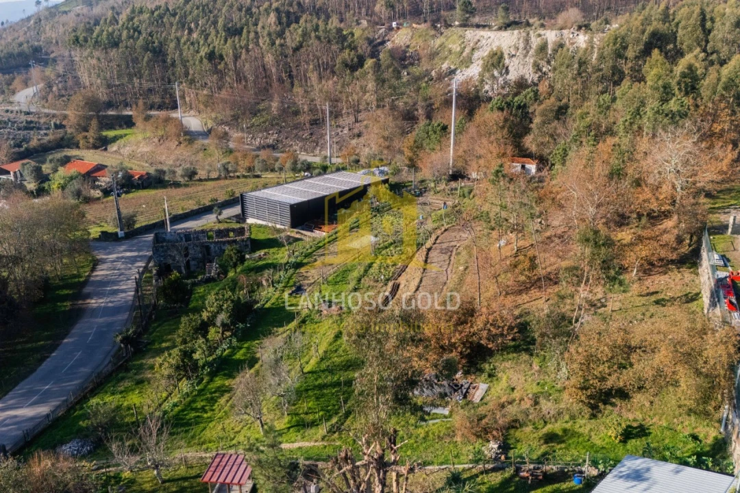 Quinta para Venda em Gonça Foto 23