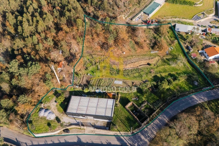 Quinta para Venda em Gonça Foto 3