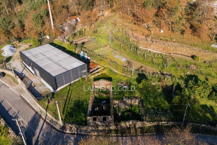 Quinta para Venda em Gonça Foto 16