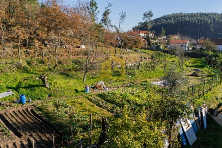 Quinta para Venda em Gonça Foto 19