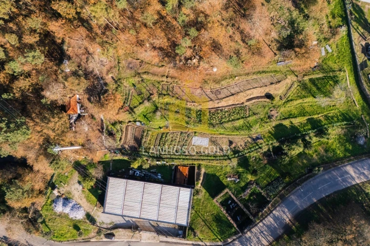 Quinta para Venda em Gonça Foto 26