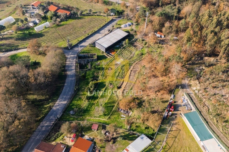 Quinta para Venda em Gonça Foto 27