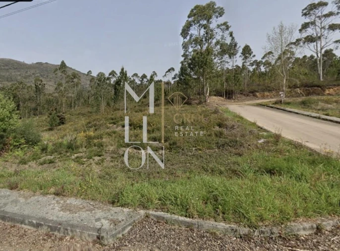 Terreno para Venda em Sopo Foto 3