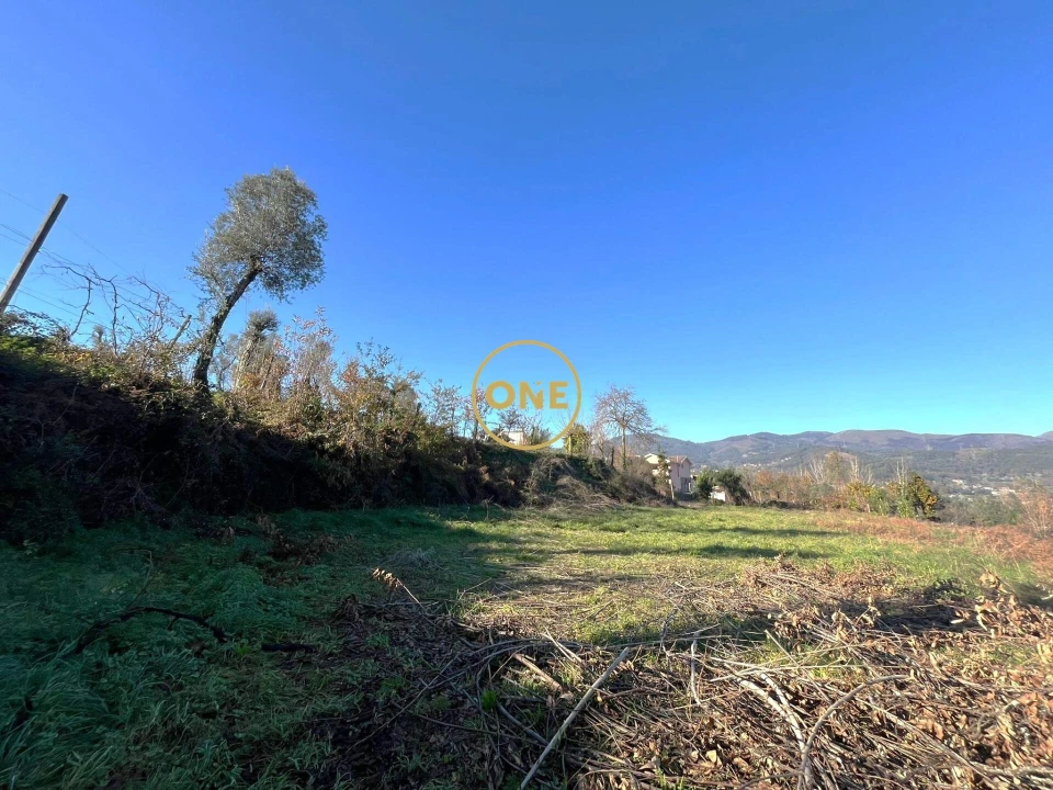 Terreno para Venda em Souto Foto 1