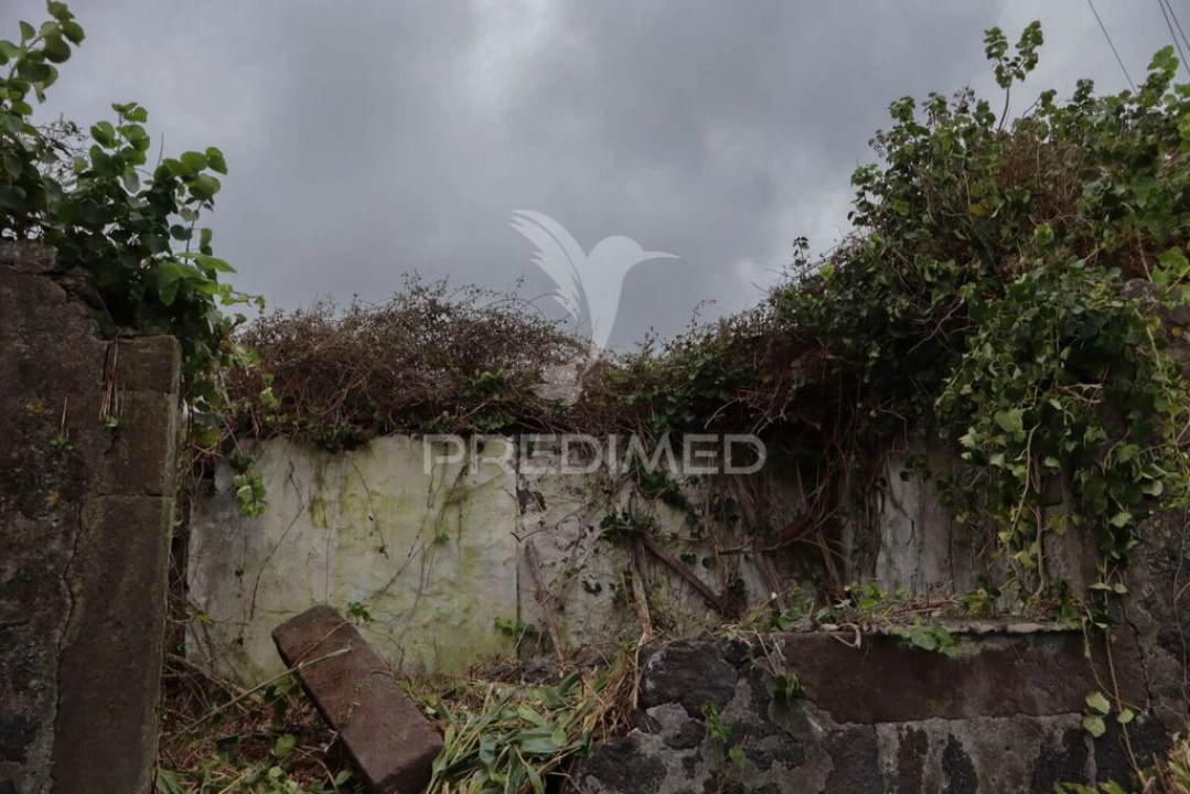 Quinta T1 para Venda em Norte Grande (Neves) Foto 6