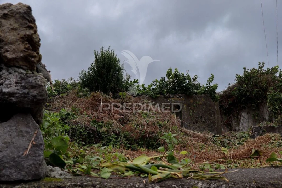 Quinta T1 para Venda em Norte Grande (Neves) Foto 12