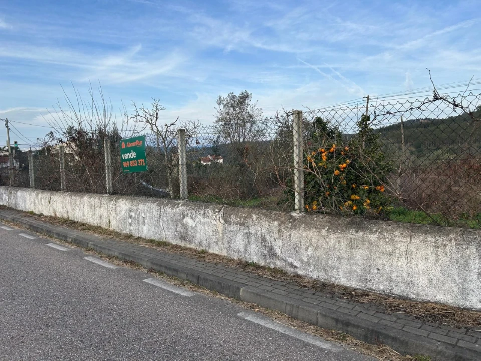Terreno para Venda em Alvega e Concavada Foto 10