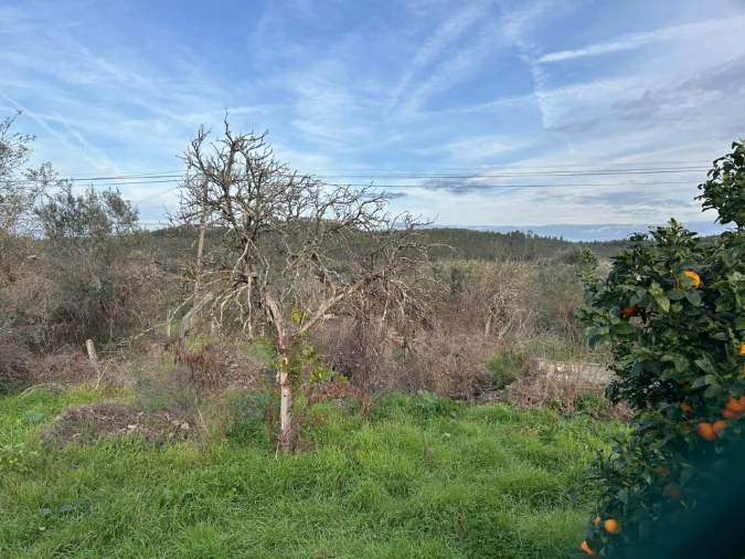 Terreno para Venda em Alvega e Concavada Foto 7