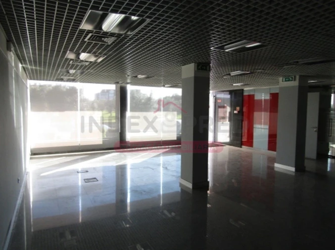 Loja para Venda em Currelos, Papízios e Sobral Foto 11