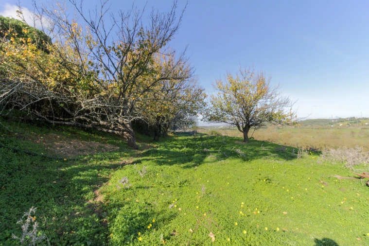 Moradia T2 para Venda em Povoa da Isenta Foto 17