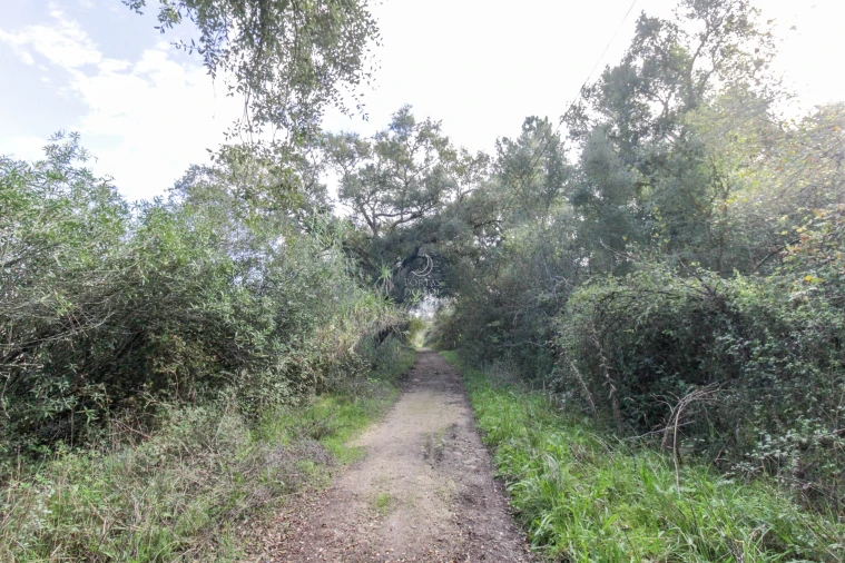 Moradia T2 para Venda em Povoa da Isenta Foto 20