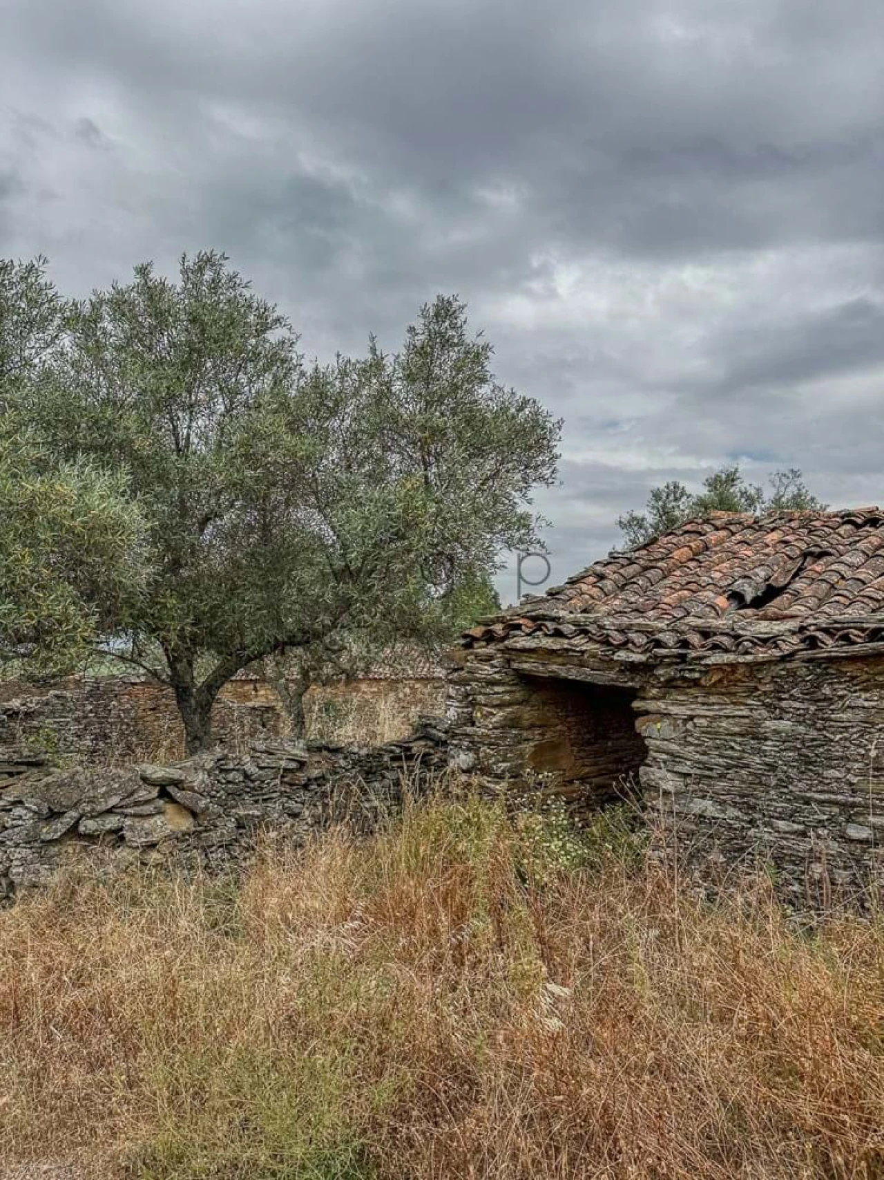 Terreno para Venda em Benquerenças Foto 13
