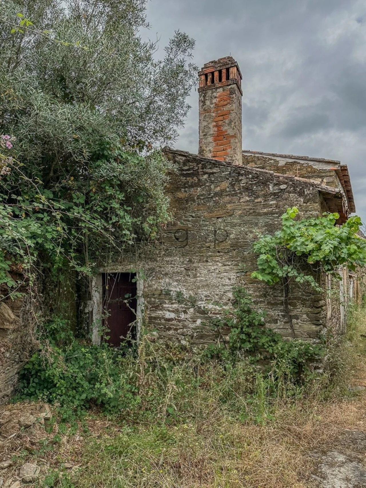 Terreno para Venda em Benquerenças Foto 25