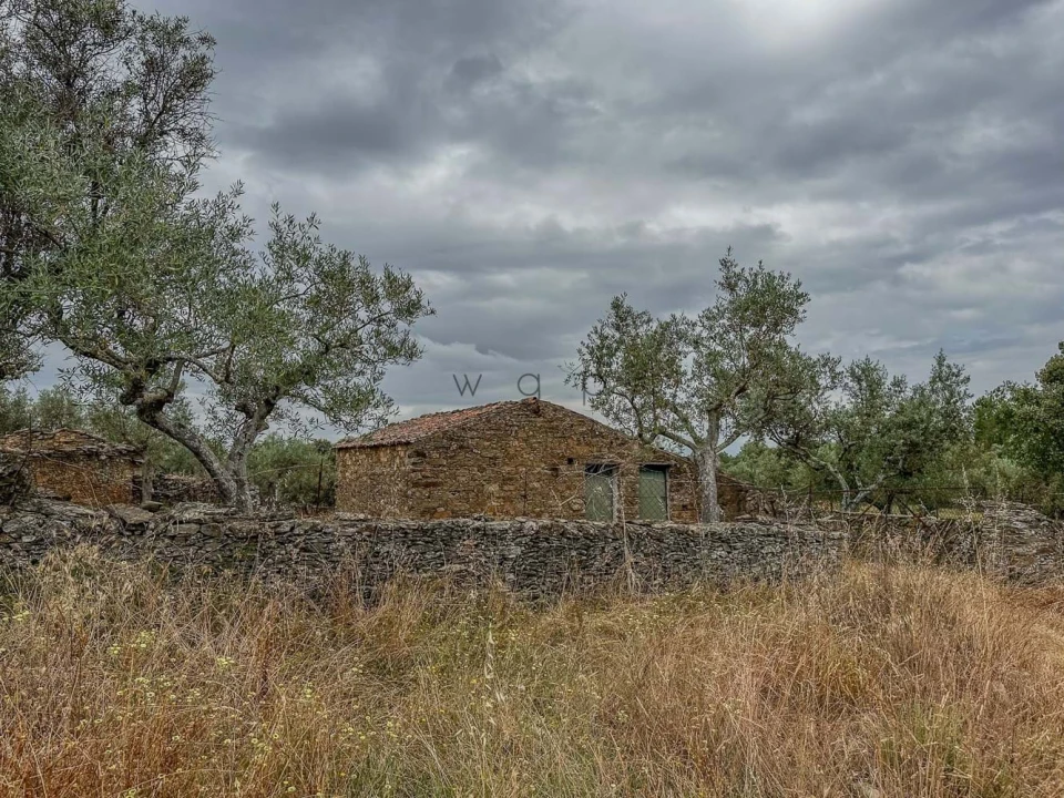 Terreno para Venda em Benquerenças Foto 9