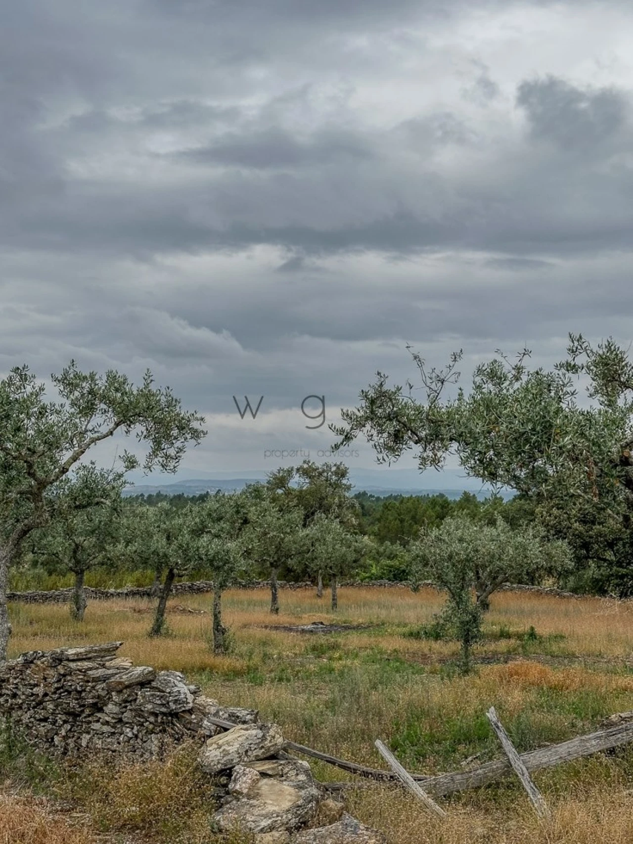 Terreno para Venda em Benquerenças Foto 18