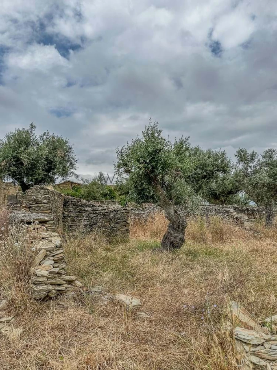 Terreno para Venda em Benquerenças Foto 26