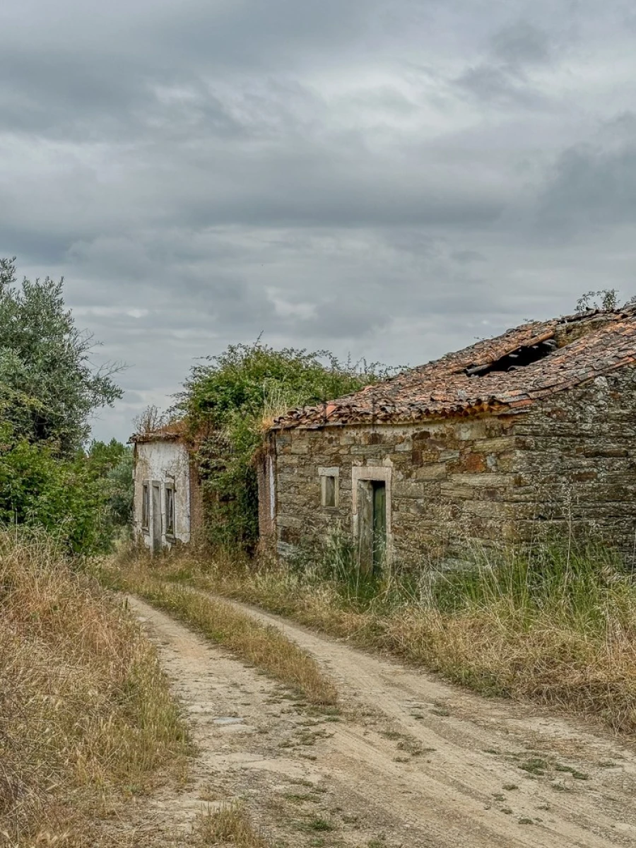 Terreno para Venda em Benquerenças Foto 22