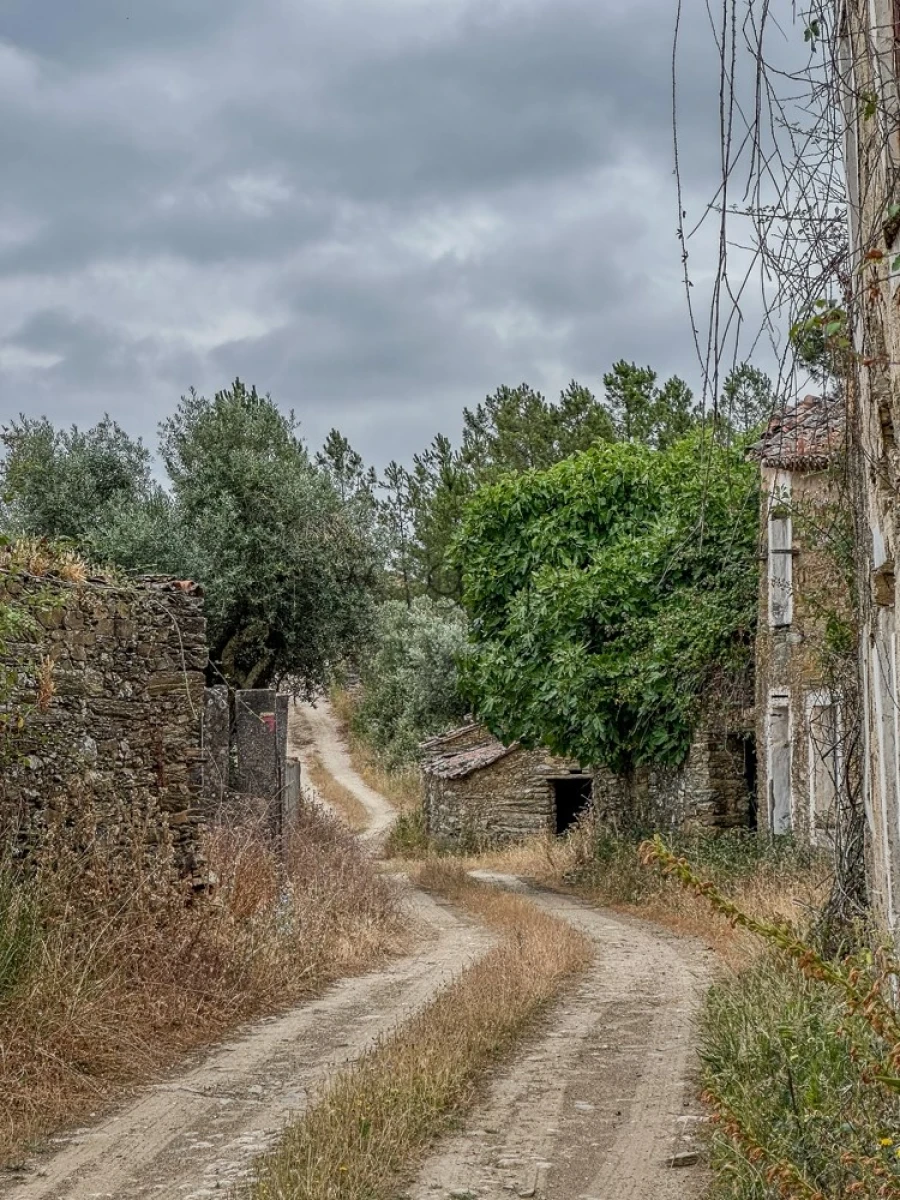 Terreno para Venda em Benquerenças Foto 21