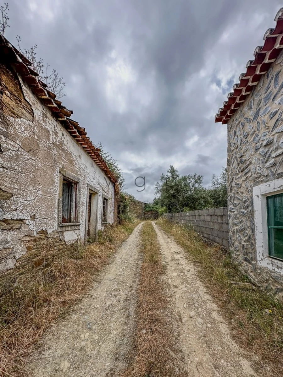 Terreno para Venda em Benquerenças Foto 34