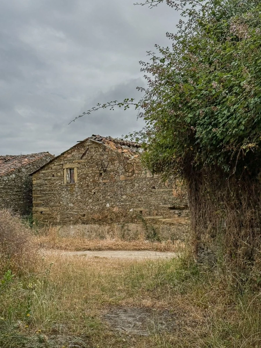 Terreno para Venda em Benquerenças Foto 23