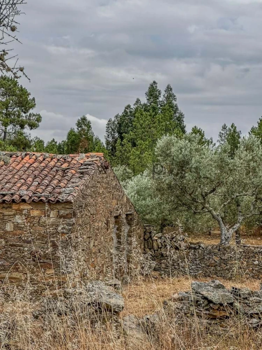Terreno para Venda em Benquerenças Foto 16