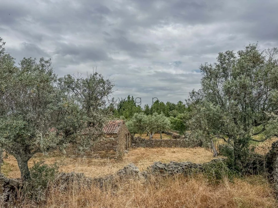 Terreno para Venda em Benquerenças Foto 14