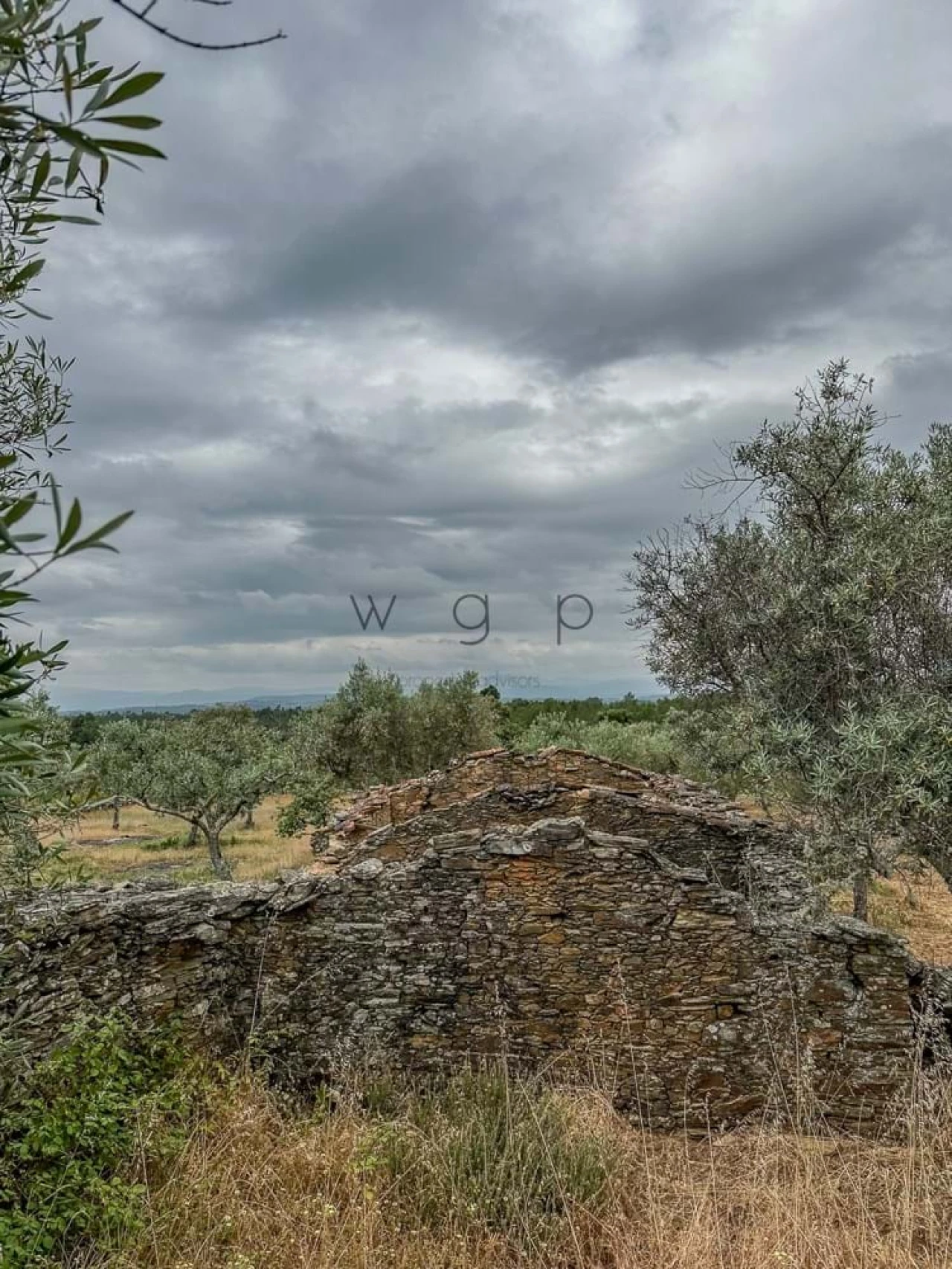 Terreno para Venda em Benquerenças Foto 15