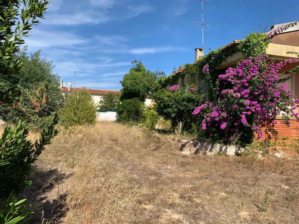Terreno para Venda em Sesimbra Foto 9