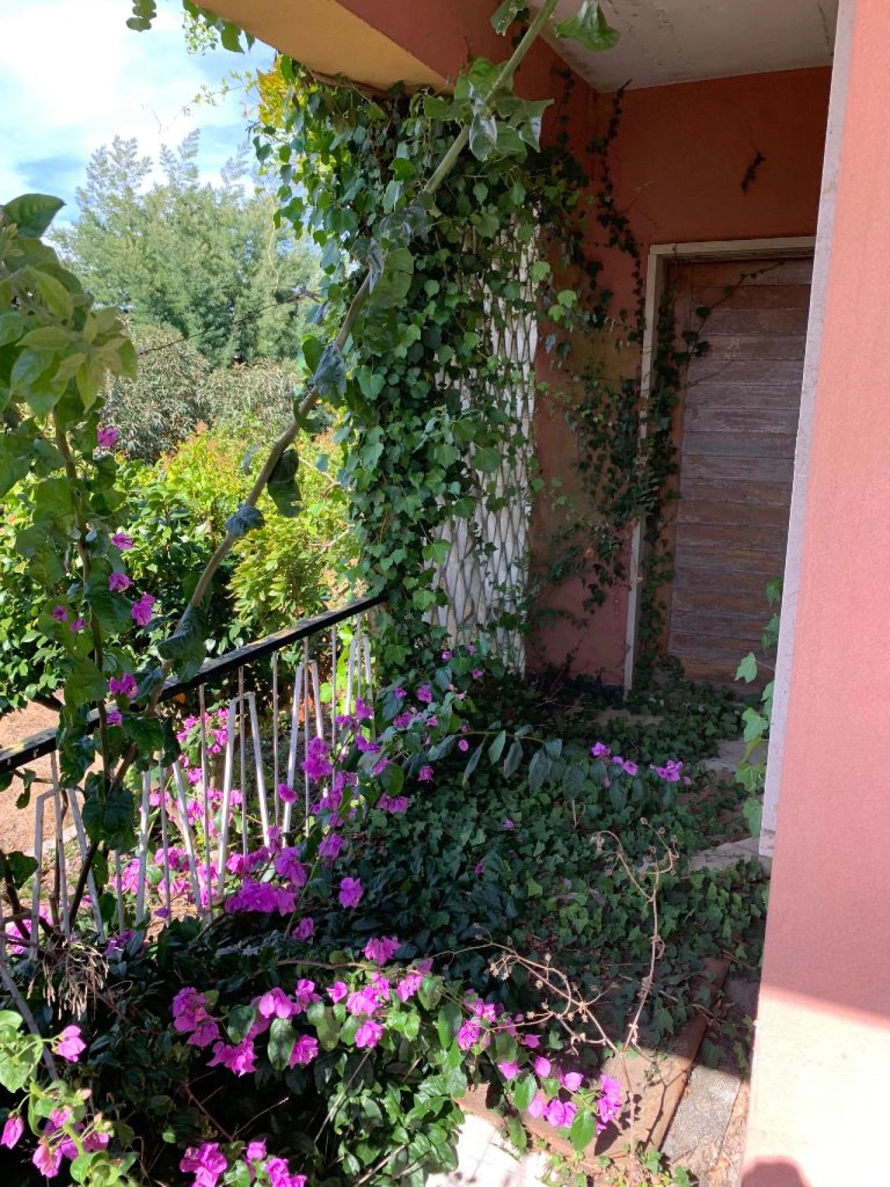 Terreno para Venda em Sesimbra Foto 18