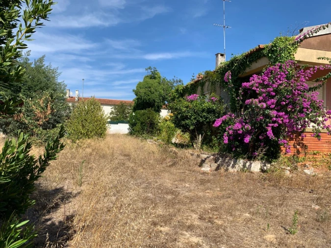 Terreno para Venda em Sesimbra Foto 9