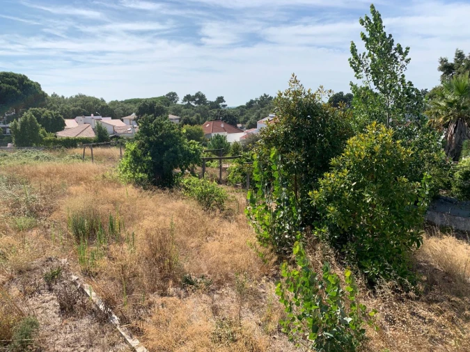 Terreno para Venda em Sesimbra Foto 26