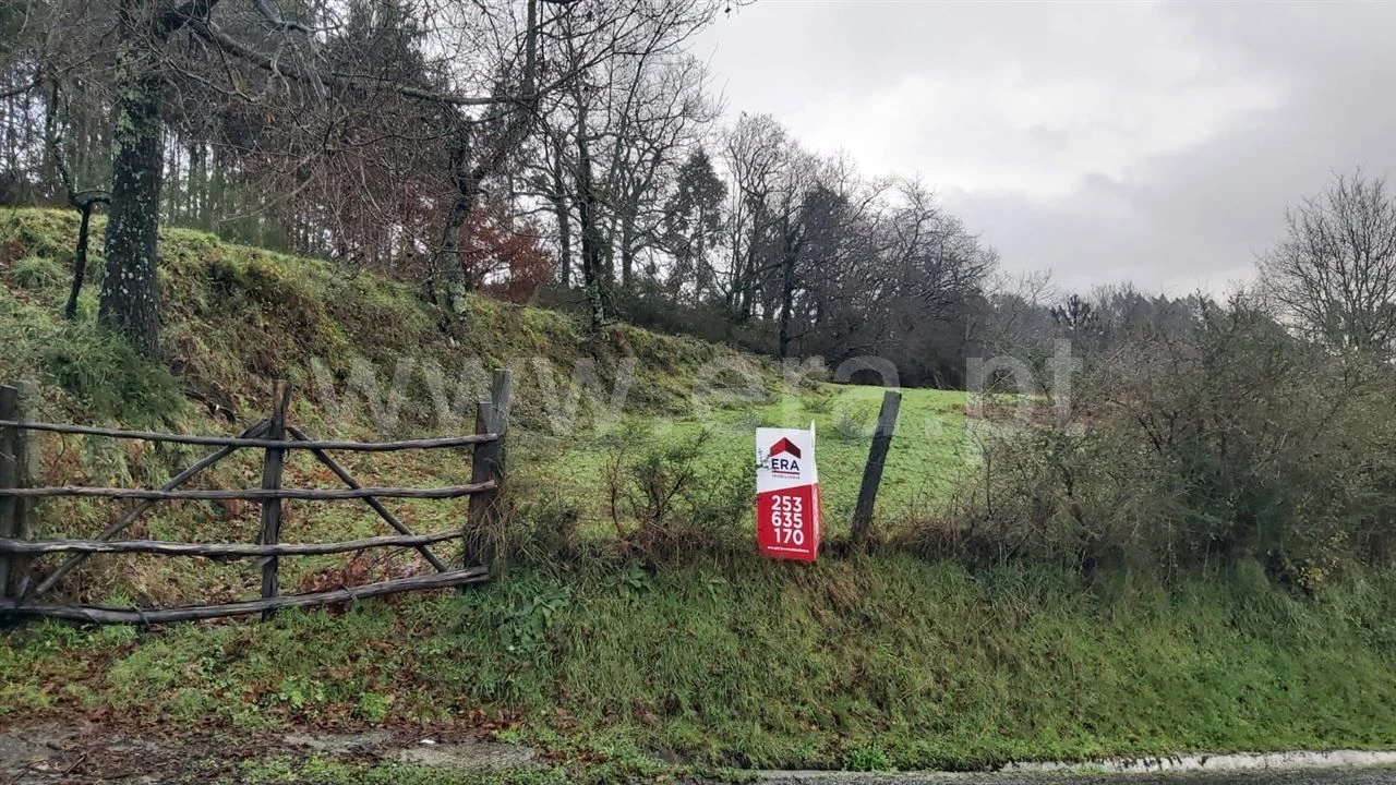 Terreno para Venda em Serzedelo Foto 1