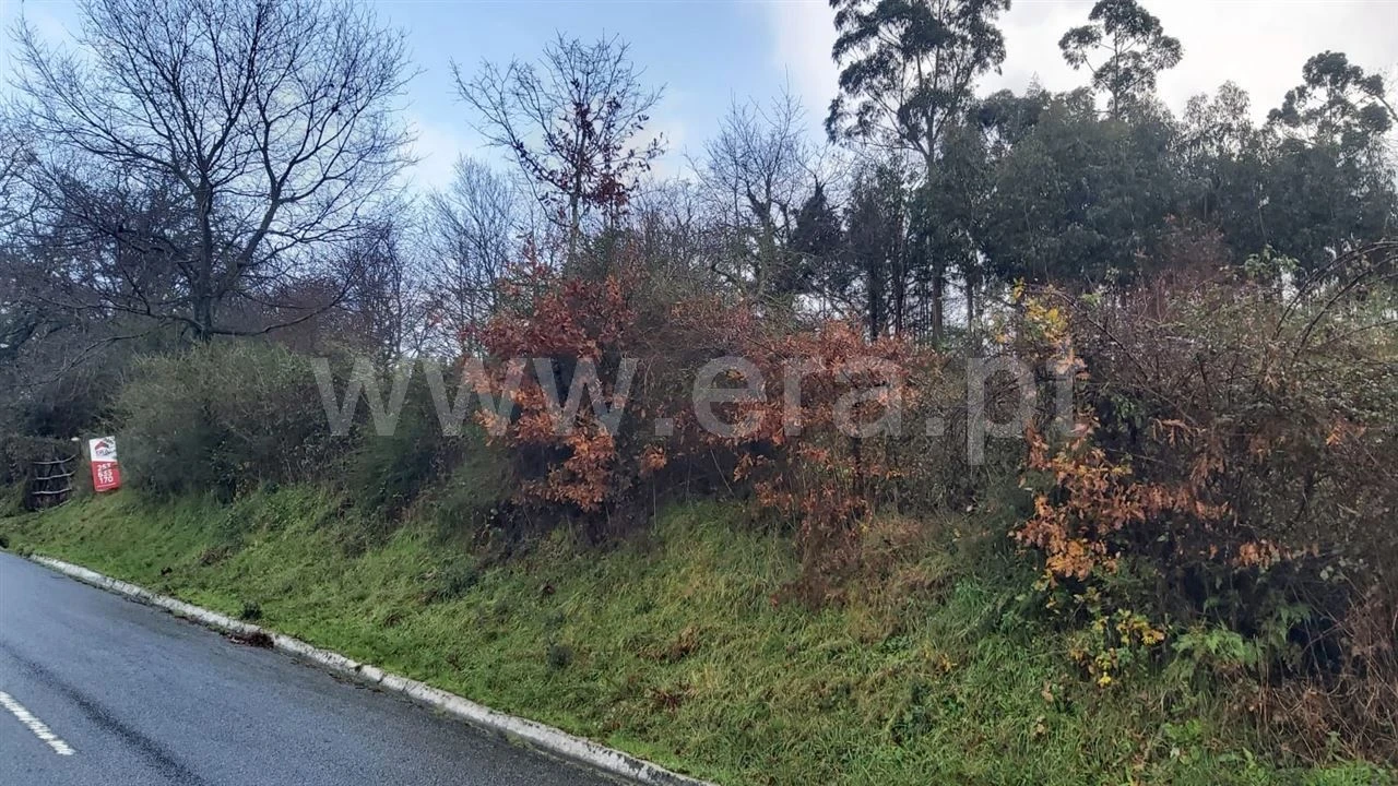 Terreno para Venda em Serzedelo Foto 4