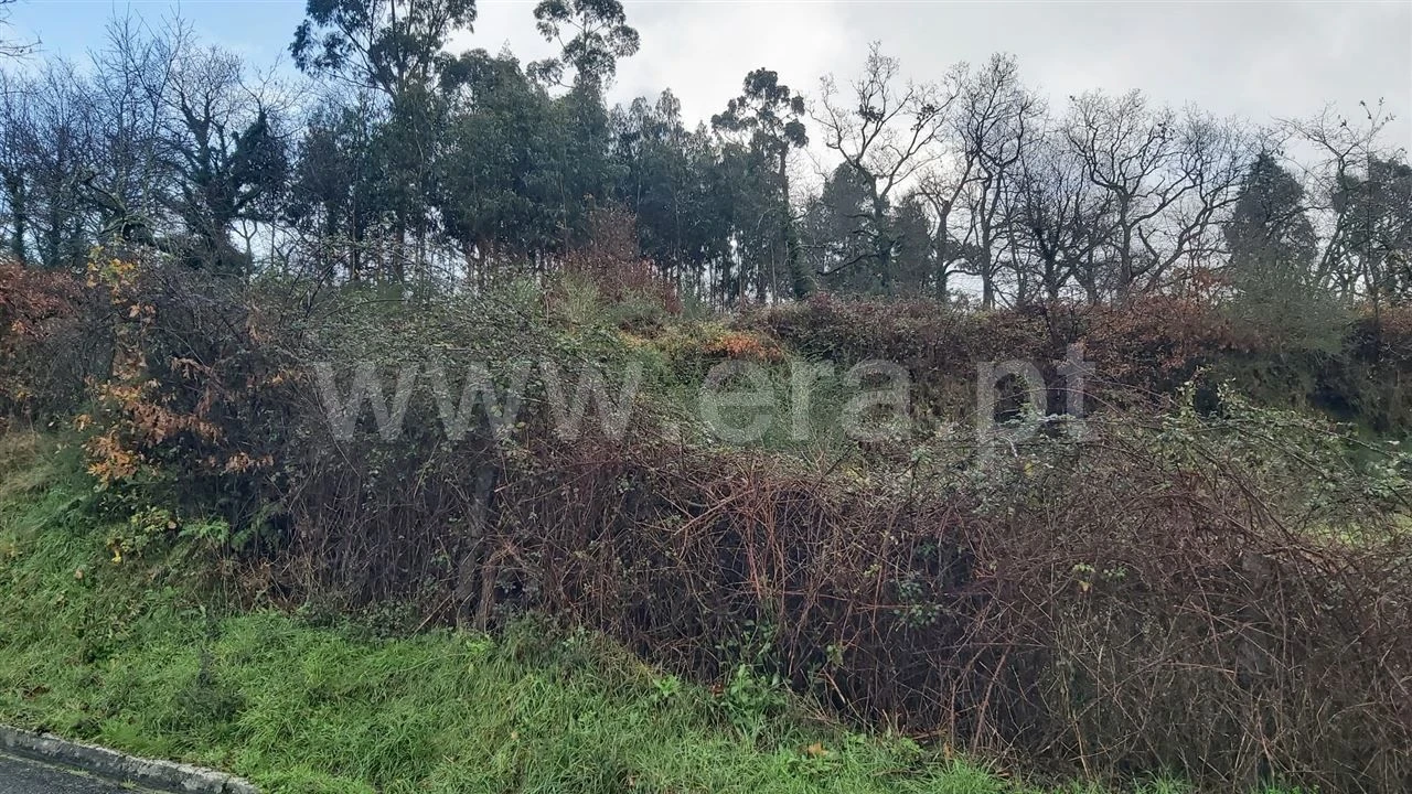 Terreno para Venda em Serzedelo Foto 7